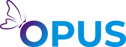 OPUS On-Demand Training